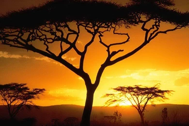 Top African Art Desktop Background Images For Pinterest