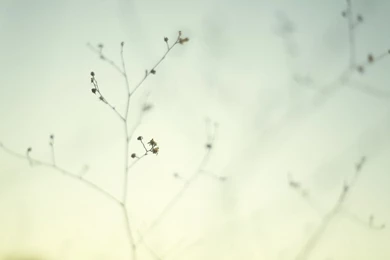 55+ Brilliant Minimal Desktop Wallpapers