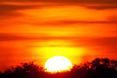 African Sunset Wallpapers