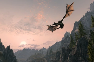 The Elder Scrolls V   Skyrim Dragon Wallpapers   Game Wallpapers ...