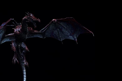 Top Skyrim Infinite Dragon Souls Images For Pinterest