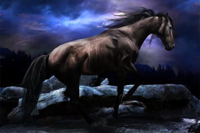 Paintings Horses Streams Nighttime