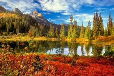 Beautiful Fall Backgrounds