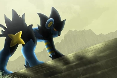 Luxray Luxio Shinx Favourites By Pom Lover424 On DeviantArt