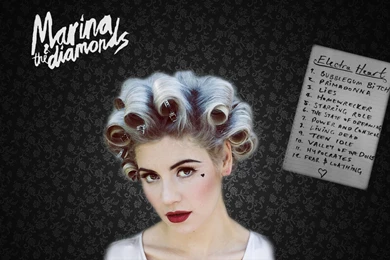 Electra Heart Wallpapers (Marina And The Diamonds) By Rapdemon1 On ...