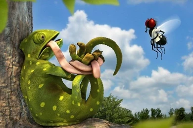 Download Wallpapers Stupid Chameleon. Desktop Wallpapers And Photos