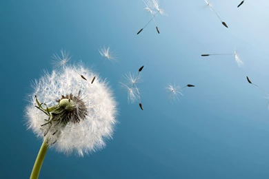 HD Samsung Galaxy S4 Desktop Backgrounds 2160x1920 ...