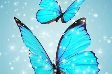 50+ Best HD Galaxy S6 And S6 Edge Wallpapers   Download   Graffies