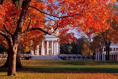 Other: University Virginia Fall Trees Wallpapers HD For HD 16:9 ...