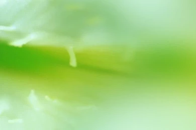 Kristel Graphics: DIGITAL ALBUM BACKGROUND CREATIVE WORK IN ...