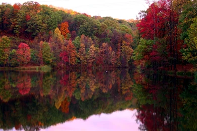 Desert Landscape Wallpapers