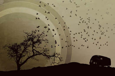 VW   Volkswagen Wallpapers (100821)   Fanpop