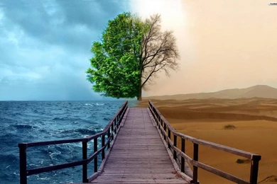 YouWall   Ocean And Desert Wallpapers   Wallpaper,wallpapers,free ...