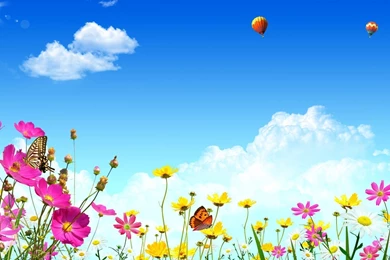 Download Wallpapers 1920x1080 Flowers, Sky, Butterflies, Balloons ...