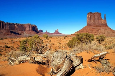 Wallpaper: Qvga Wallpapers Pack