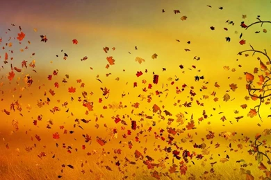 Top Viewing Gallery For Fall Images For Pinterest