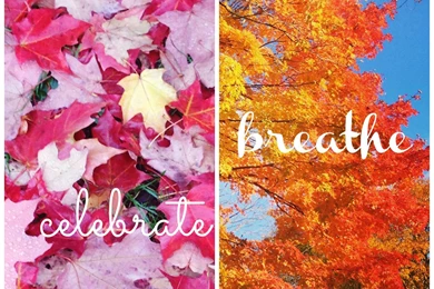 8 Ways To Celebrate Autumn No Matter Where You Live