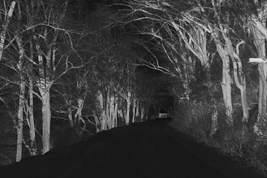 Winter Scary Road Nature Mountain Dark iPhone 6 Wallpapers Download ...