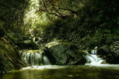 Beautiful Desktop Download