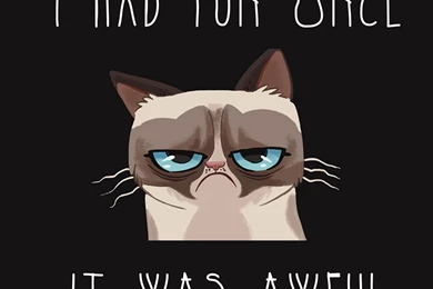 Download Wallpapers 2048x2048 Grumpy Cat, Cat, Funny, Sadness ...