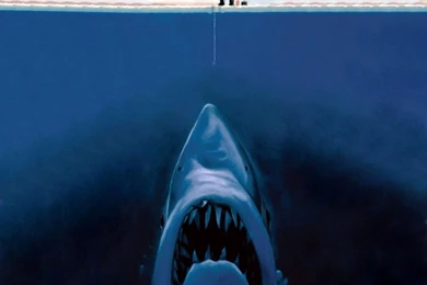 iPad Funny BG00015 iPad Wallpapers