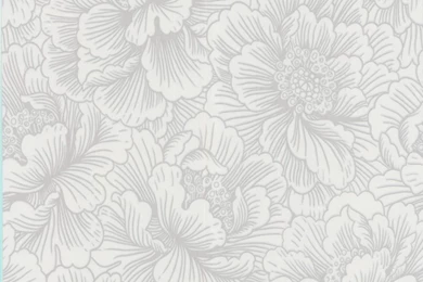 White On White Wallpapers   HD Wallpapers Pretty