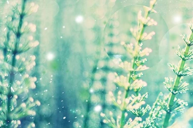 Free Wallpapers For Iphone S Nxtaa