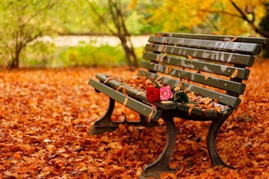 Holiday Wallpapers HD