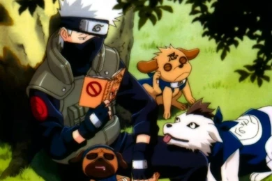 Kakashi Hatake   Kakashi Wallpapers (34531442)   Fanpop