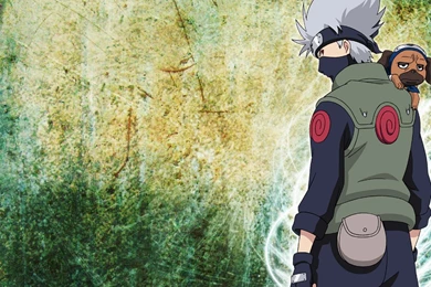 Kakashi Hatake Pakkun Wallpapers   (