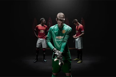 Man Utd 2014 15 Goalkeeper Nike Home Kit Wallpaper.jpg
