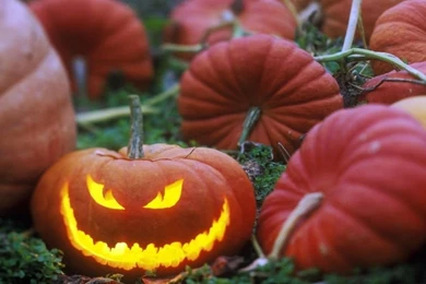 31 Spooky Halloween Desktop Wallpapers For 2014