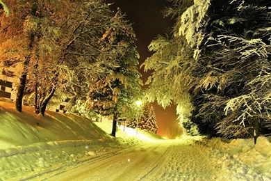 Nighttime Snowy Road Wallpapers