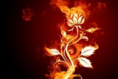 Fire Flower, 800x600 Pixels : Wallpapers Tagged Abstract ...