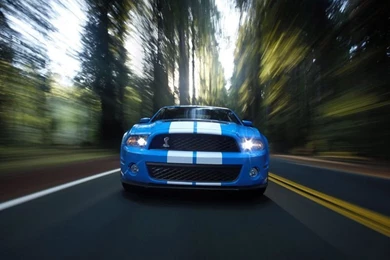 Ford Mustang, Shelby GT500, Convertible   Free 800x600 Wallpapers ...