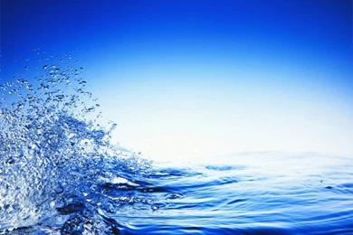 Animated Wallpapers (800x600)   Wallpapers