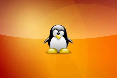 Super_tux_wallpaper_linux 800x600.jpg