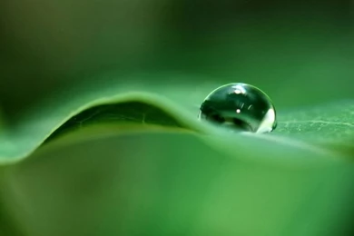 Drop_of_water_2 wallpaper 800x600.jpg