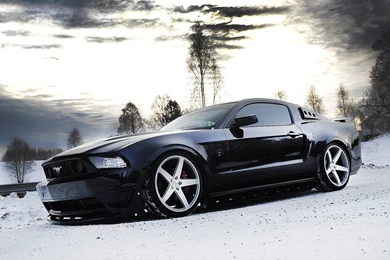 Ford Mustang Wallpapers 3   HD Car Wallpapers
