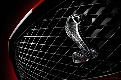 Ford Mustang Logo Wallpapers