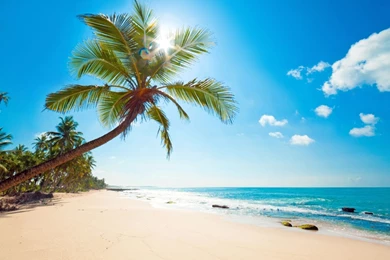 Desktop Backgrounds Free Download