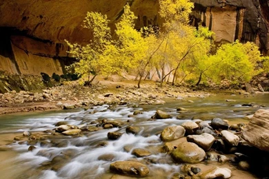 Free Nature Wallpapers   HD Landscape 4 Wallpapers   1280x1024 ...