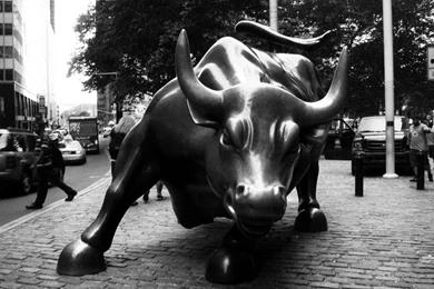 Top Charging Bull Wallpaper Images For Pinterest