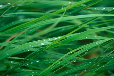 1280x1024 HD Wallpapers