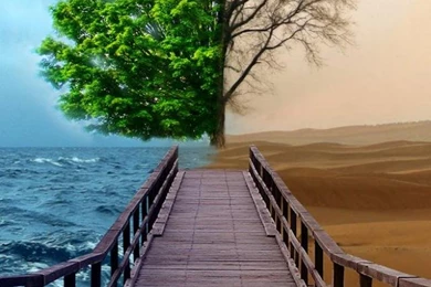 30+ Nature Wallpapers For iPhone