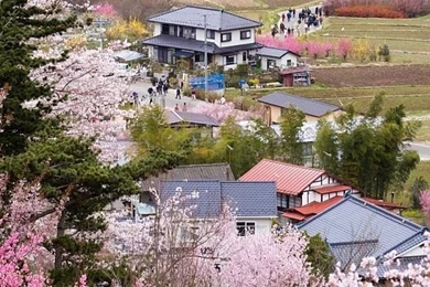 Village Of Spring iPhone 4s Wallpapers Download