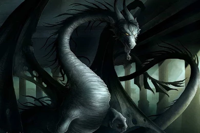 Black Dragon   Dragons Wallpapers