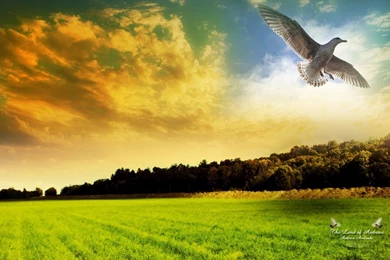 HDR Design Wallpapers Wallpapers   HD Wallpapers 86614