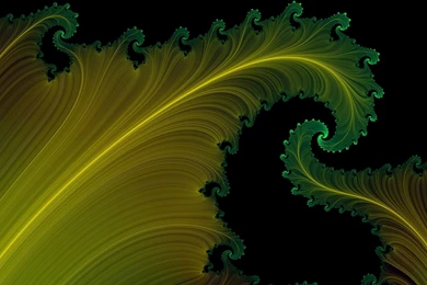 Yellow Green Black Backgrounds   1644640