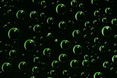 Green And Black – Sportwette Tipps